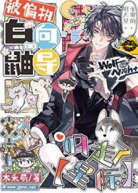 ��ƫִ�����򵼵�����[�Ǽ�]